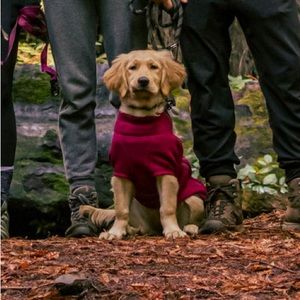 Ruffwear Fernie Dog Sweater Size Small